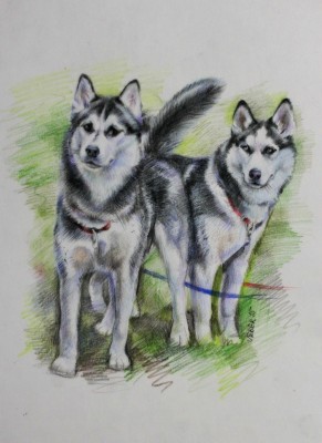мои рисунки - IMG_5191.jpg