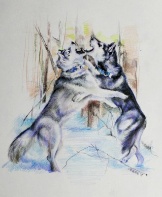 мои рисунки - IMG_5199.jpg