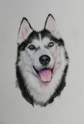 мои рисунки - IMG_5215.jpg