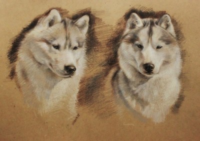 мои рисунки - IMG_5231.jpg