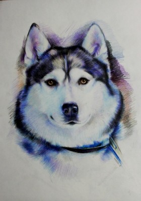 мои рисунки - IMG_5235.jpg
