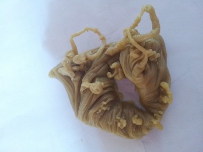 ОТЛИВКИ ВОСКОМ - 20150404_110553.jpg