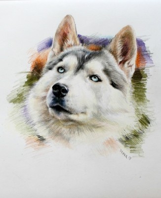 мои рисунки - IMG_5252.jpg