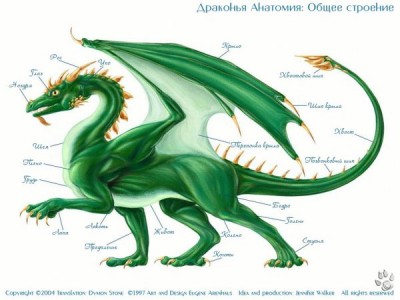 Ритуал Посвящения инициации Серых Магов - 1362246929_index3.jpg