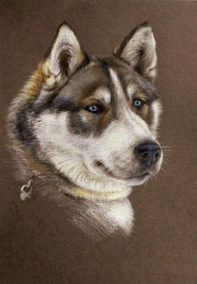 мои рисунки - IMG_5270.jpg
