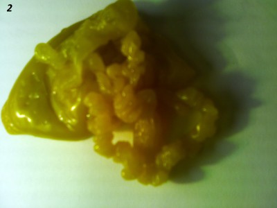 ОТЛИВКИ ВОСКОМ - IMG_20150507_225202.jpg