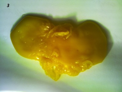 ОТЛИВКИ ВОСКОМ - IMG_20150507_225914 (4).jpg