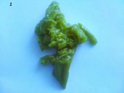 ОТЛИВКИ ВОСКОМ - IMG_20150509_110014.jpg