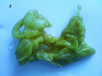 ОТЛИВКИ ВОСКОМ - IMG_20150509_111329.jpg