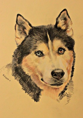 мои рисунки - IMG_7013.jpg