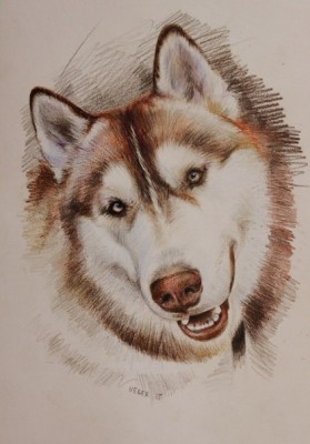 мои рисунки - Oje9jpLThOc.jpg