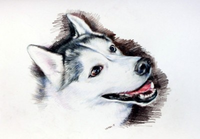 мои рисунки - m-RDKwHcGvY.jpg