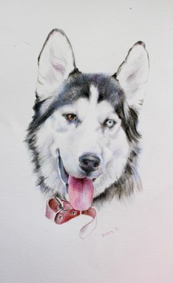 мои рисунки - IMG_02291.jpg