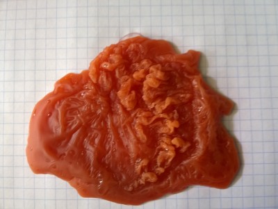 последняя... - WP_20150617_14_25_32_Pro.jpg (393.93 КБ) 1885 просмотров последняя...