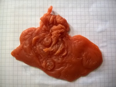 вторая отливка - WP_20150617_14_40_10_Pro.jpg (415.82 КБ) 1885 просмотров вторая отливка