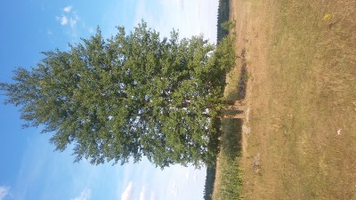 Очень интересное место... - 20150822_174520.jpg