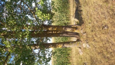 Очень интересное место... - 20150822_174630.jpg