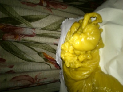 3-я отливка половая