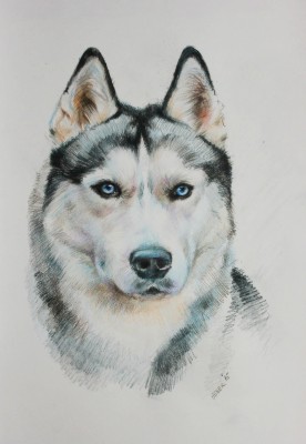 мои рисунки - IMG_5516.jpg