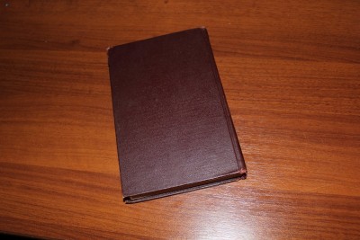Я памятник себе..? ИтоЖки на 2 стр. - IMG_9294.JPG
