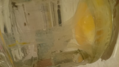 Выкатывание яйцом. Помогите разобраться. - DSC_1033.JPG