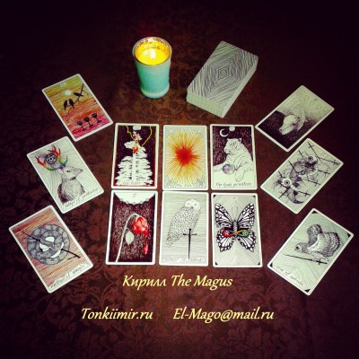 The Wild Unknown Tarot - Дикое Неизвестное Таро - Wild Unknown Tarot Кирилл The Magus tonkiimir.ru .jpg (2.41 МБ) 6743 просмотра The Wild Unknown Tarot - Дикое Неизвестное Таро - Wild Unknown Tarot Кирилл The Magus tonkiimir.ru .jpg