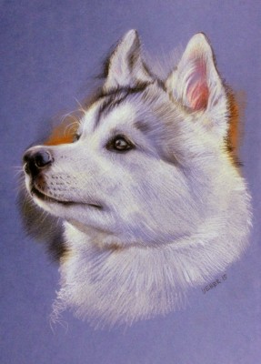 мои рисунки - IMG_5854.jpg