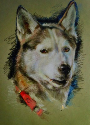 мои рисунки - IMG_5397.jpg