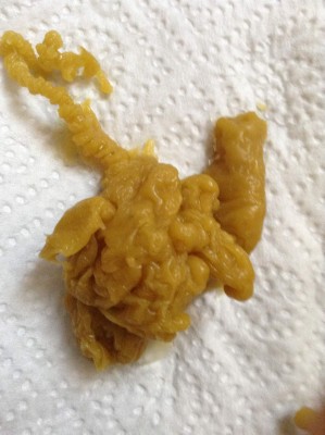 ОТЛИВКИ ВОСКОМ - image (36).jpg