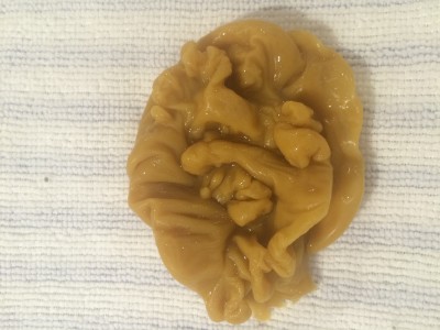 ОТЛИВКИ ВОСКОМ - IMG_1060.JPG