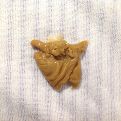 Второй день!! Третья отливка