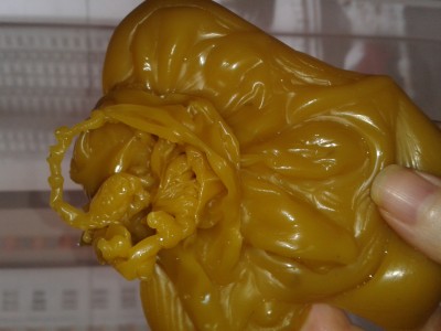 голова с рогами