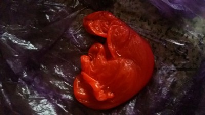 ОТЛИВКИ ВОСКОМ - 20160224_140513.jpg