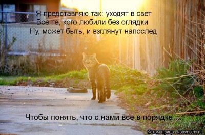 Путь души животного после смерти.. - clip_image001.jpg