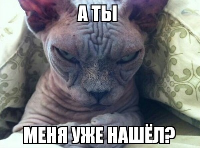 КОТ ЗА ДВЕРЬЮ ИТОГИ с 6 стр. - Sinister Cat 18032016131346.jpg (62.87 КБ) 151 просмотр КОТ ЗА ДВЕРЬЮ ИТОГИ с 6 стр. - Sinister Cat 18032016131346.jpg