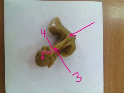 ОТЛИВКИ ВОСКОМ - 8388dc48dac3.jpg