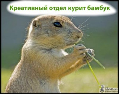  ПОМОГИ ДЕВУШКАМ ДОЕХАТЬ ИТОГИ 8 ст.  - 1218189732_fafe40ad0ae9ea0507afe85aeaba9089.jpg
