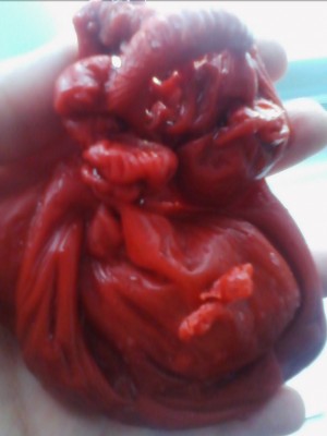 ОТЛИВКИ ВОСКОМ - 4le3R1FpYPM.jpg