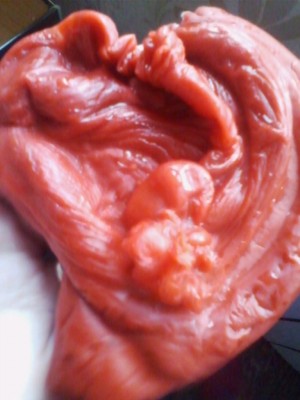 ОТЛИВКИ ВОСКОМ - yTgIwb291z8.jpg