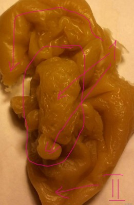 ОТЛИВКИ ВОСКОМ - 22485d7666169fee53b3c655f0cbb349.jpg