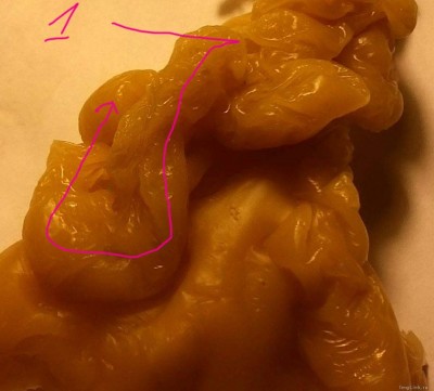 ОТЛИВКИ ВОСКОМ - dfabe78c00a98bc220e7184b34e6c570.jpg