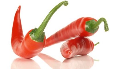  А у Птахи кукуруза ИТОГИ 9 стр  - fotolia-chili-gekauft_nav_nav.jpg