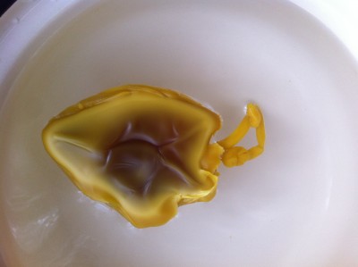 Вторая - верх