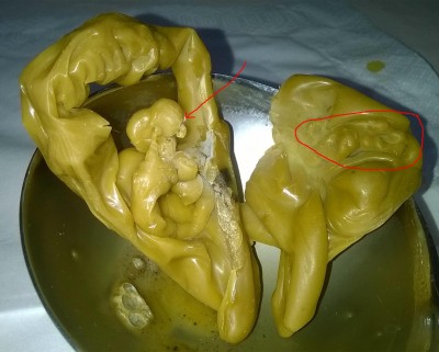 ОТЛИВКИ ВОСКОМ - WP_20160407_005.jpg