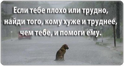 Путь души животного после смерти.. - добро.jpg