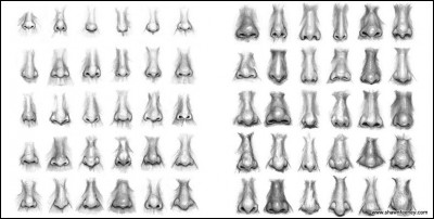  Сосед по коммуналке Итоги - normal_10noses.jpg