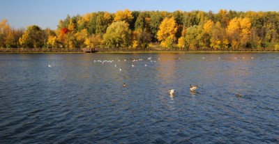 Конкурс на ваши способности.ИТОГИ  - 518568_900.jpg