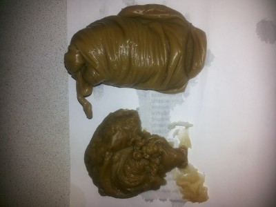 Второй день.  Голова