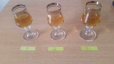 Битва экстрасенсов 2016. Тур I. - ^19003782F5F79DFBFADA0DF3D4B89A7EB3A8095BFF21B45626^pimgpsh_fullsize_distr.jpg