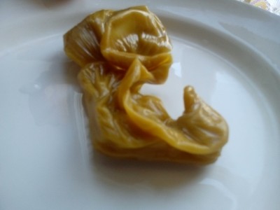 Третий отлив,низ